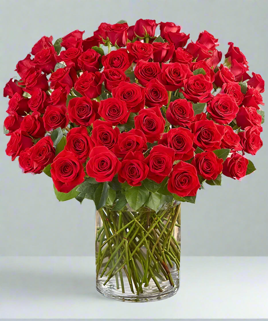 101 Red Roses In Vase