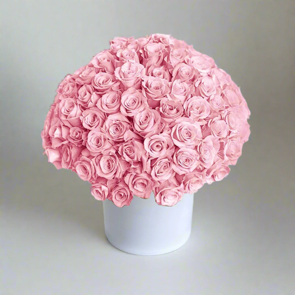 101 Pink Roses In Round Box