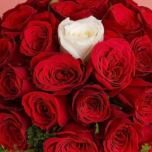 Serenity In Red