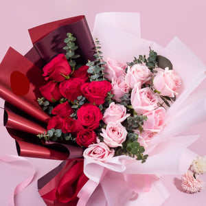 Half Red, Half Pink Heart