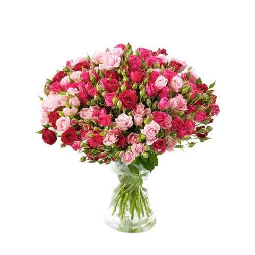 Shades Of Pink Roses In Vase
