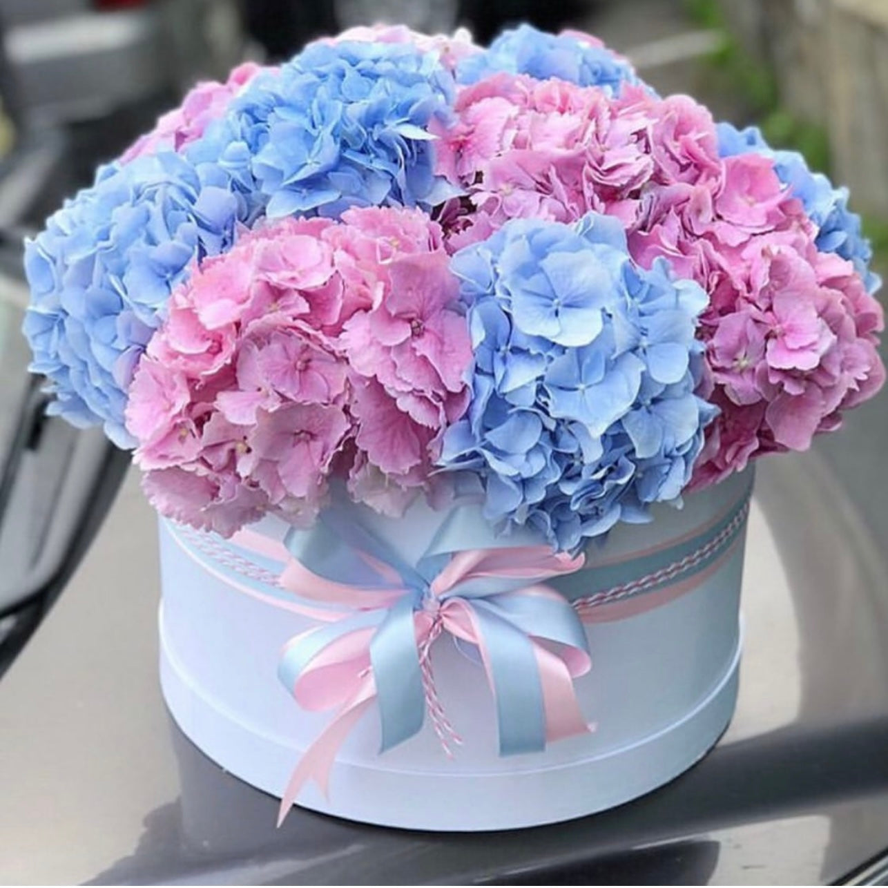 Graceful Hydrangeas In Box