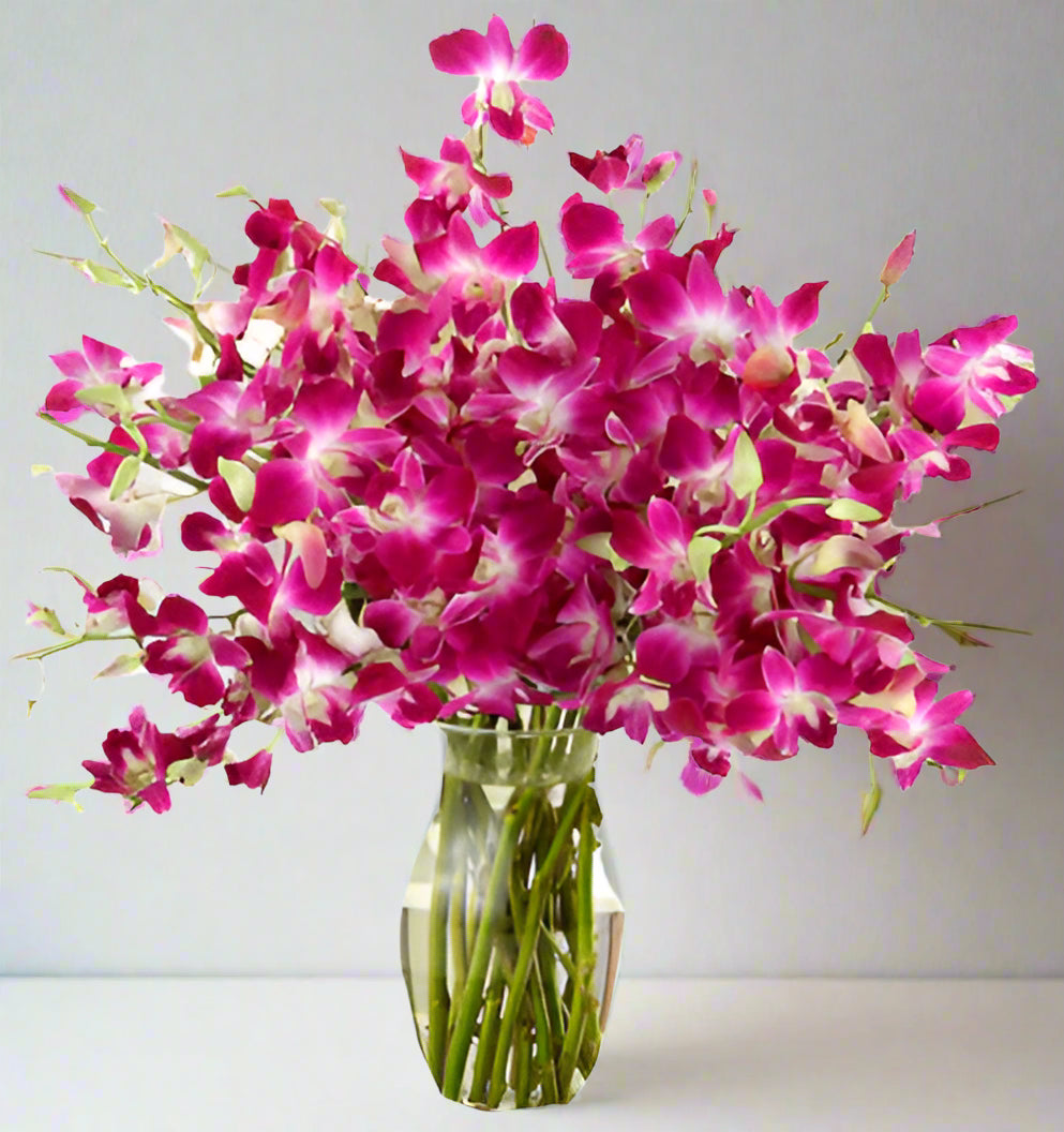 Purple Orchids In Vase
