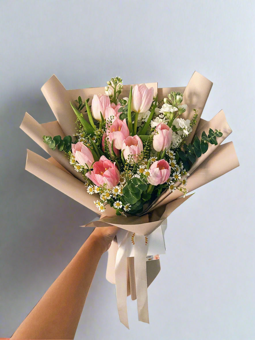 Pink Tulip Dream