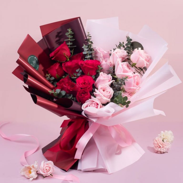 Half Red, Half Pink Heart