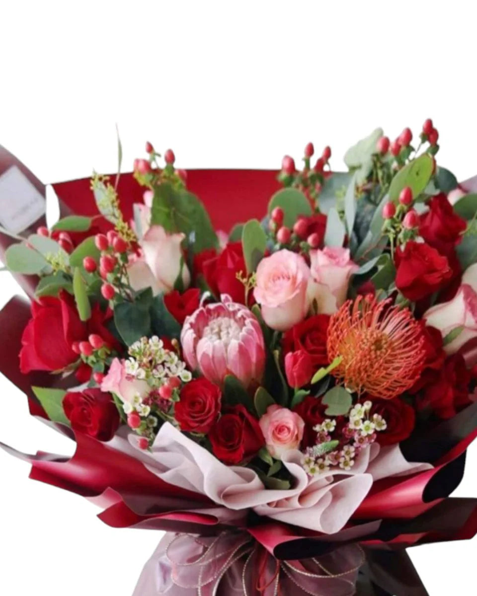 Protea Passion